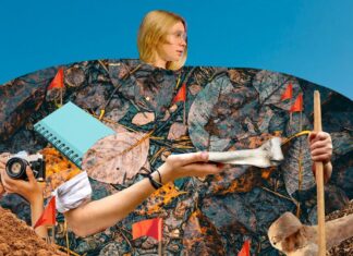 Як це-спостерігати, як розкладаються десятки тіл (для науки)