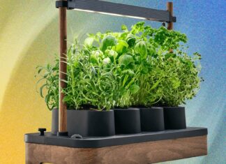 AUK Mini Review: Почніть власне насіння, скандинавський стиль