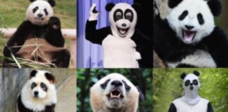 Мир WIRED: Исследование технологий, науки и общества