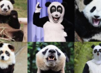 Мир WIRED: Исследование технологий, науки и общества