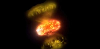 Прориви, попередження та курйози: наука та технології у 2026 році