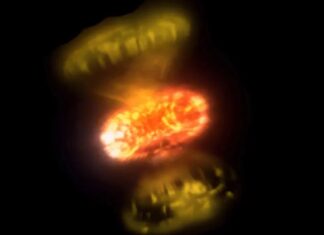 Прориви, попередження та курйози: наука та технології у 2026 році