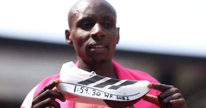 b1304281-7c31-45c9-981a-33dd05e43332